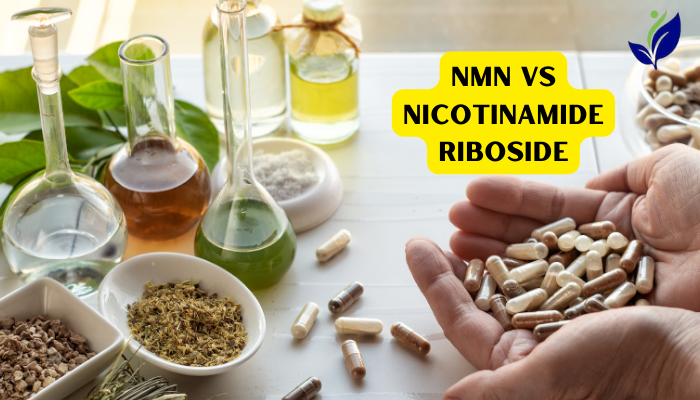 NMN vs Nicotinamide Riboside