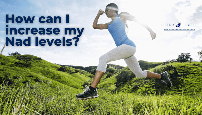 How can I Increase my NAD Levels